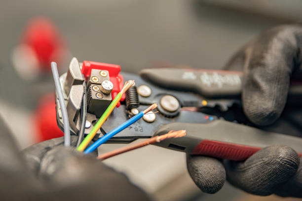 Best Electric Panel Repair  in Choctaw Lake, OH