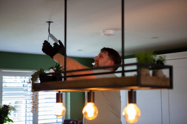 Best Electric Panel Repair  in Choctaw Lake, OH